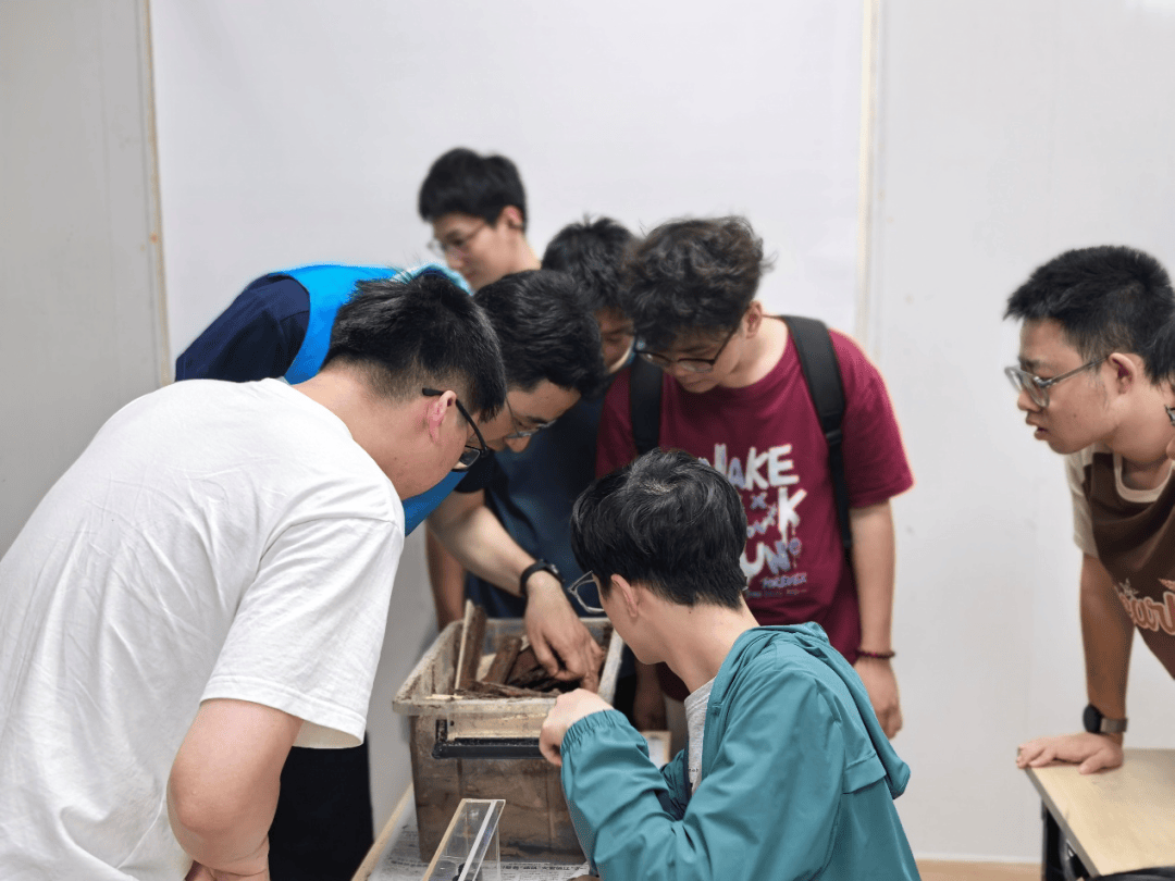 從理論到實踐 ——青年學子的“白蟻防治實踐”活動:白蟻防治